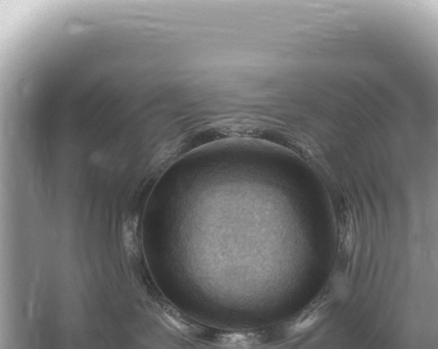 X0000059250239200510211637