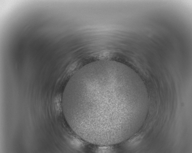 X0000059250240200510211637