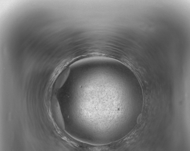 X0000059250241200510211636