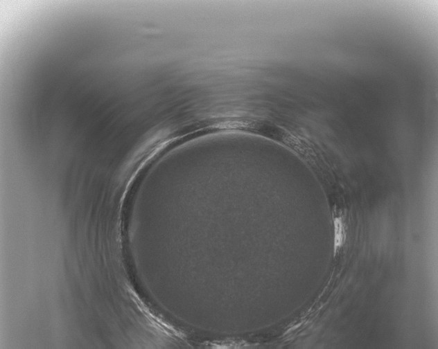 X0000059250243200510211636