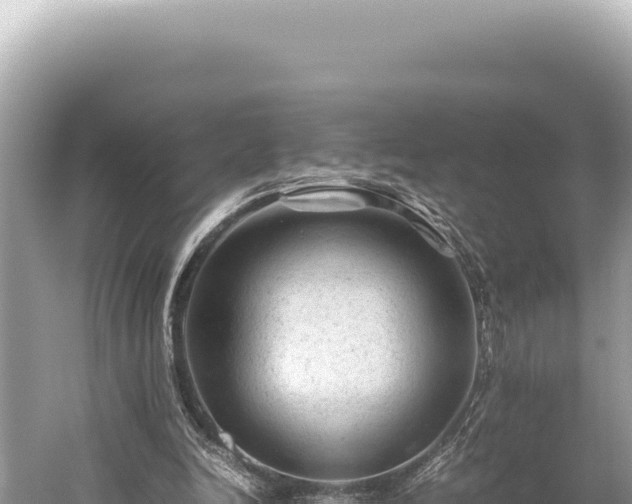 X0000059250246200510211636