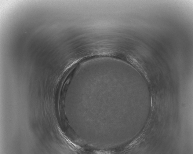 X0000059250249200510211636