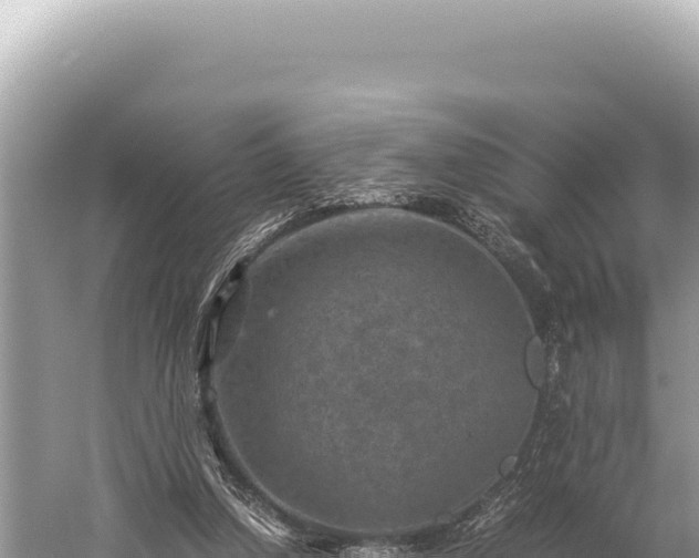 X0000059250250200510211636