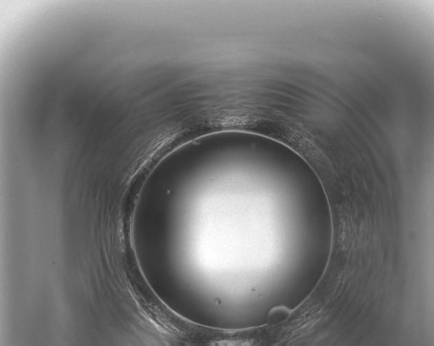 X0000059250251200510211636