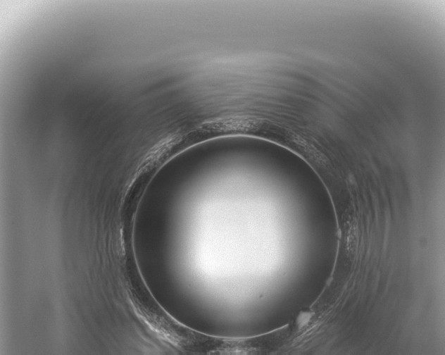 X0000059250254200510211636