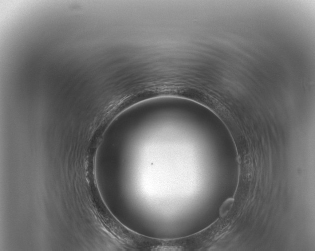 X0000059250255200510211636