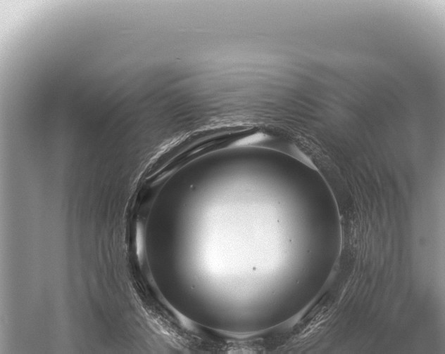 X0000059250256200510211636