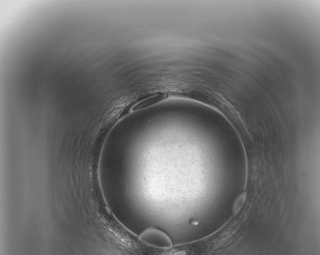 X0000059250257200510211636