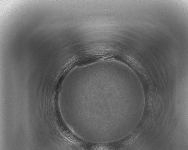 X0000059250258200510211636