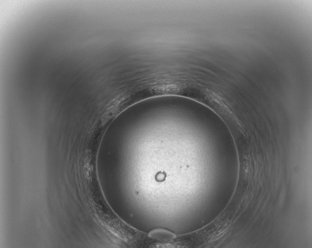 X0000059250259200510211636