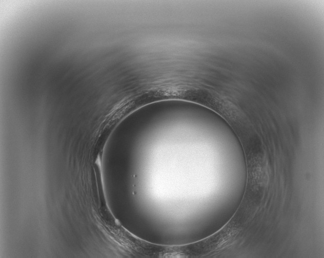 X0000059250262200510211636