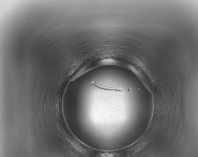 X0000059250265200510211636