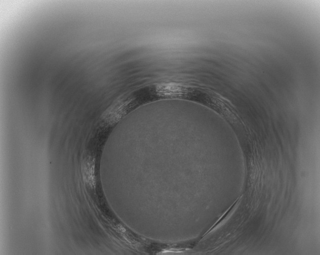 X0000059250267200510211636