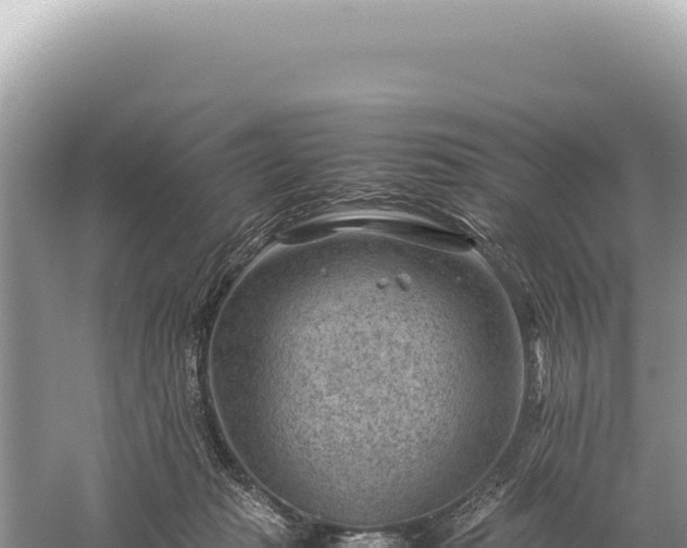 X0000059250269200510211636