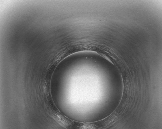 X0000059250270200510211636