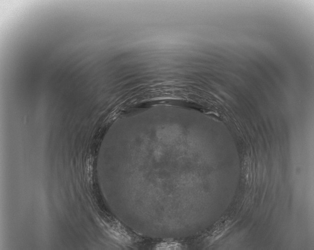 X0000059250271200510211636