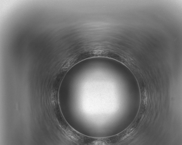 X0000059250272200510211637