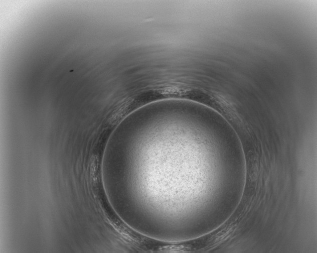 X0000059250273200510211637