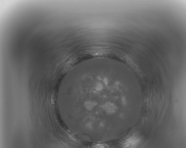 X0000059250277200510211637