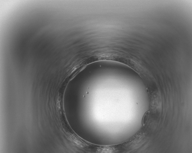 X0000059250282200510211637