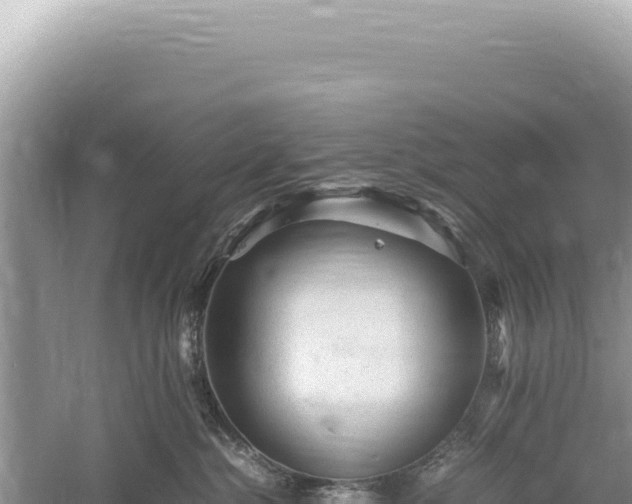 X0000059250284200510211637