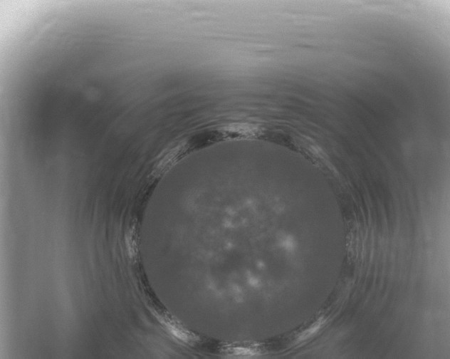 X0000059250285200510211637