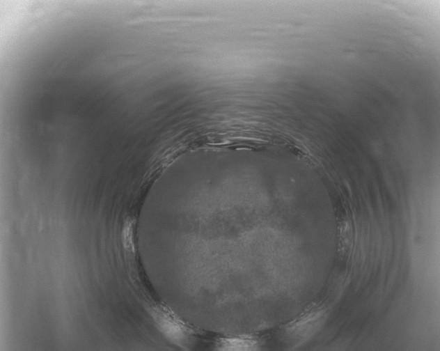 X0000059250286200510211637