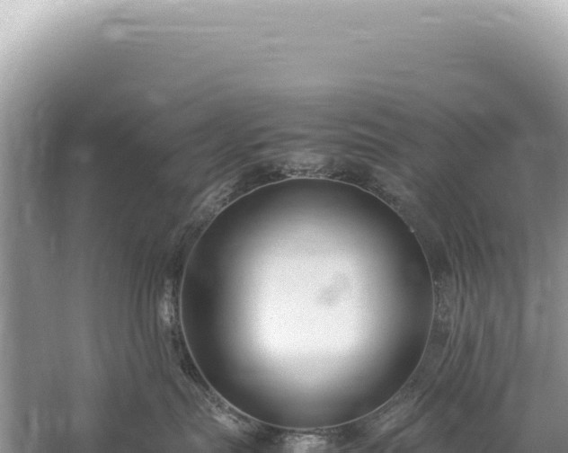 X0000059250287200510211637