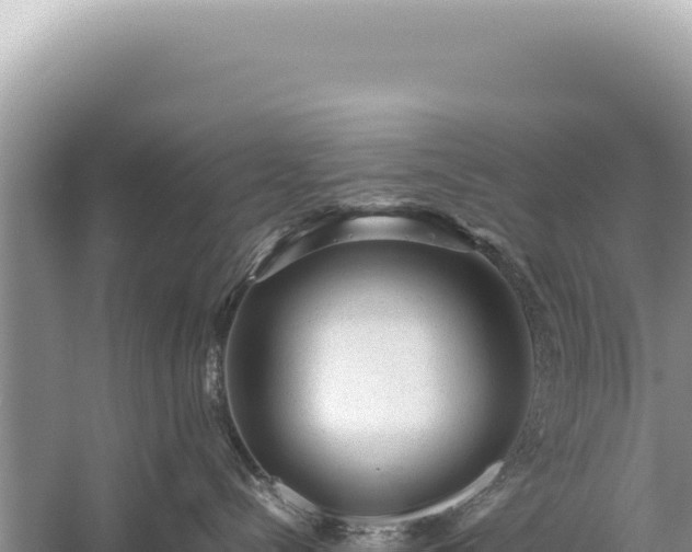 X0000059250288200510211637