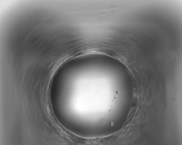 X0000059250289200510211636