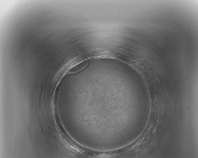 X0000059250290200510211636