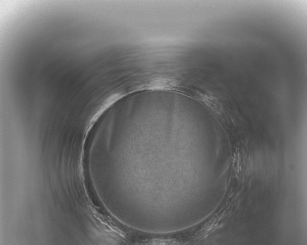 X0000059250292200510211636