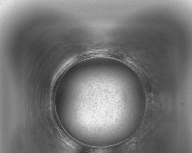 X0000059250293200510211636