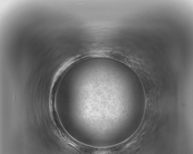 X0000059250294200510211636