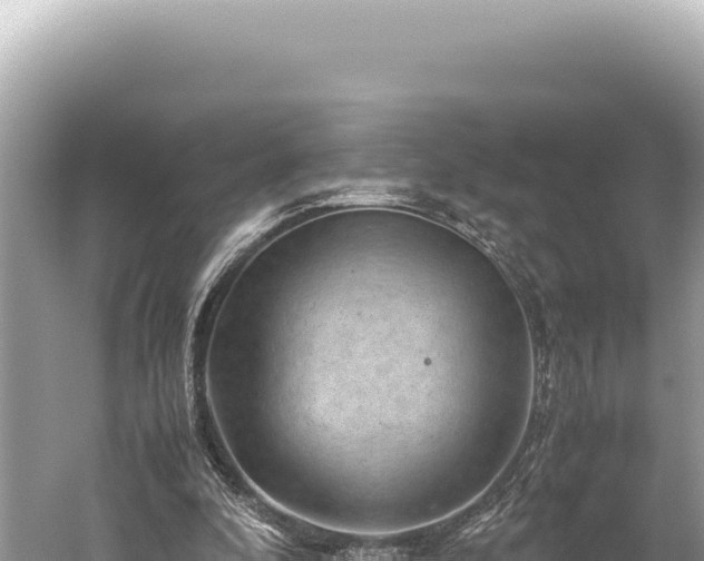 X0000059250296200510211636