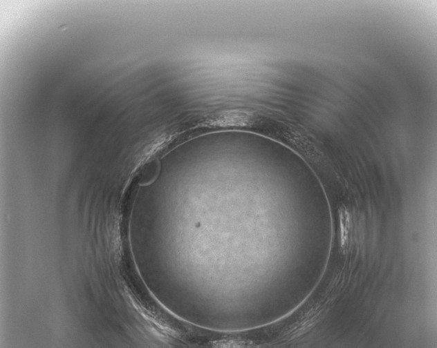 X0000059250300200510211636