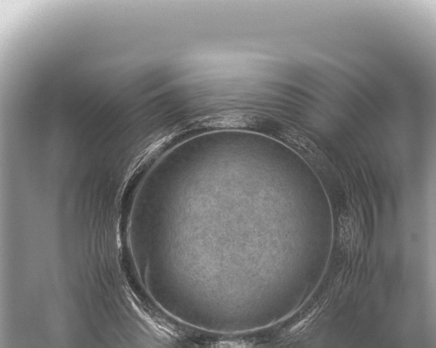 X0000059250302200510211636