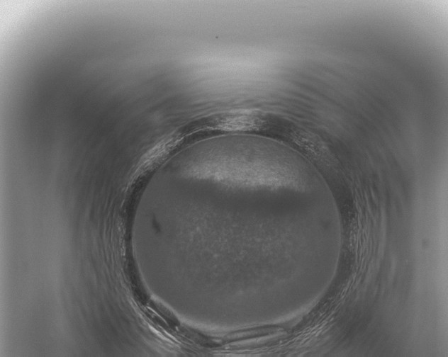 X0000059250303200510211636