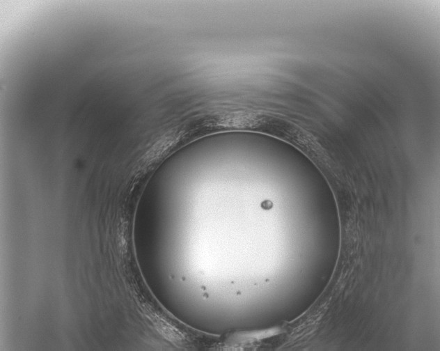 X0000059250305200510211636