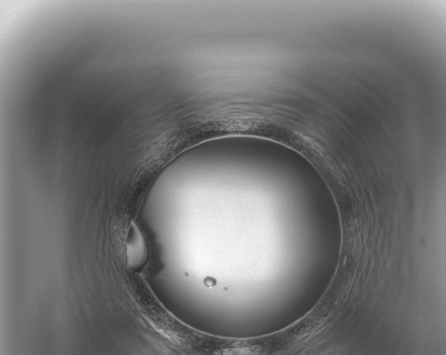 X0000059250307200510211636