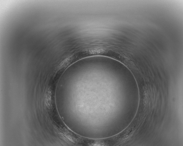 X0000059250308200510211636