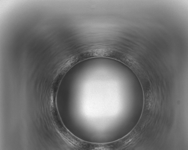 X0000059250310200510211636