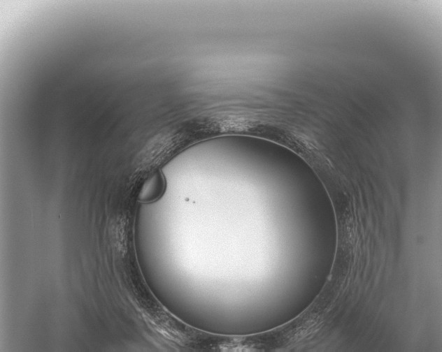 X0000059250311200510211636