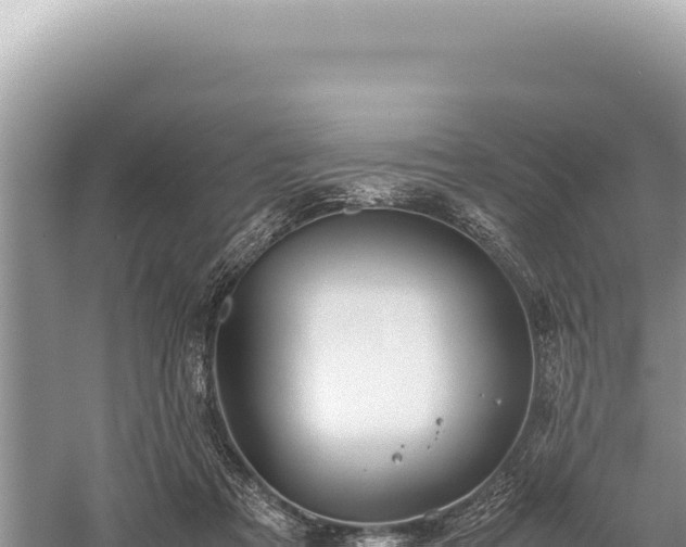 X0000059250313200510211636