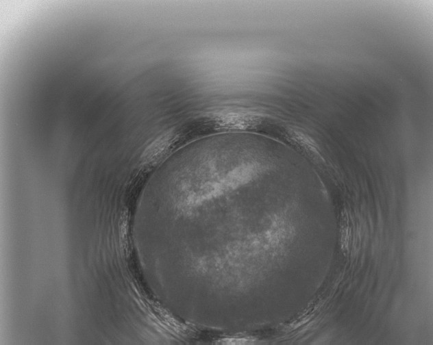 X0000059250314200510211636