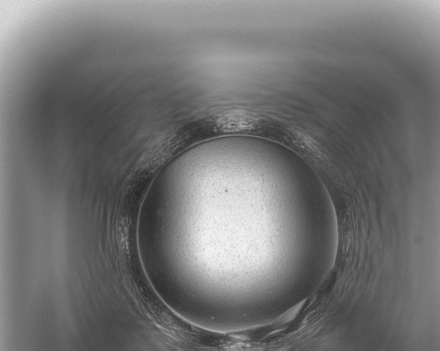 X0000059250315200510211636