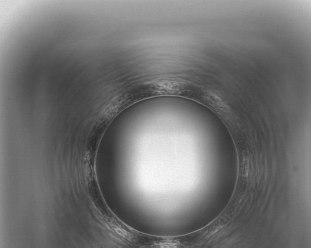 X0000059250318200510211635