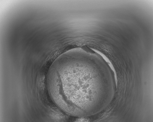 X0000059250319200510211635