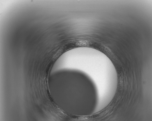 X0000059250322200510211635