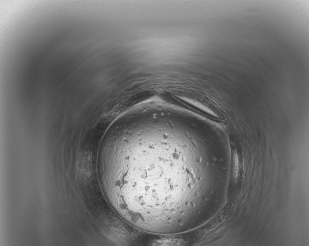 X0000059250323200510211635